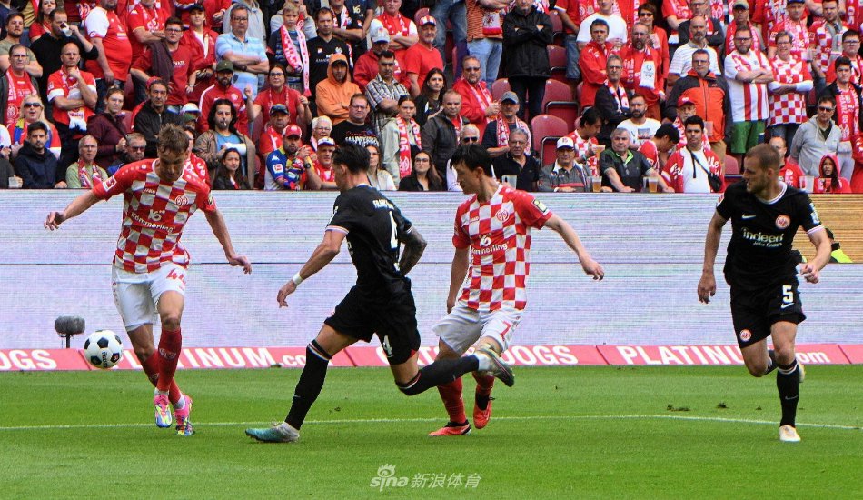 增添了不少 增添了不少